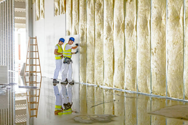 Best Radiant Barrier Insulation  in Lebanon South, PA